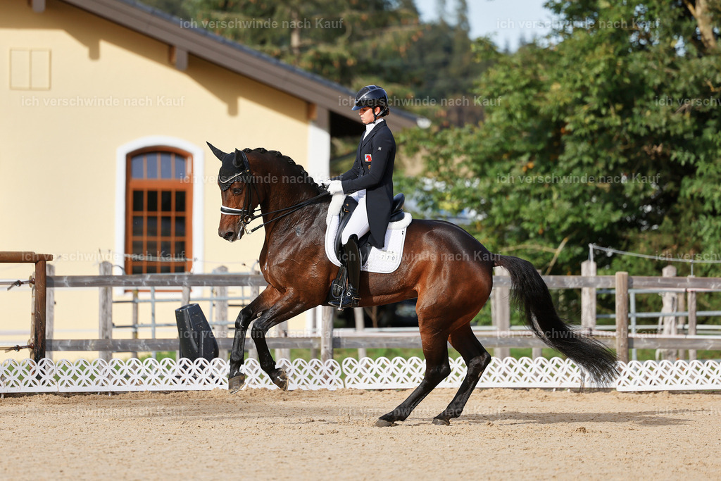 13-110-S___ -StoibPH-6949 | working equitationturnier fotograf videograf stoibphotography marixx film working equitation deutschland reitsport turnierfotografie eventfotografie equestrian events