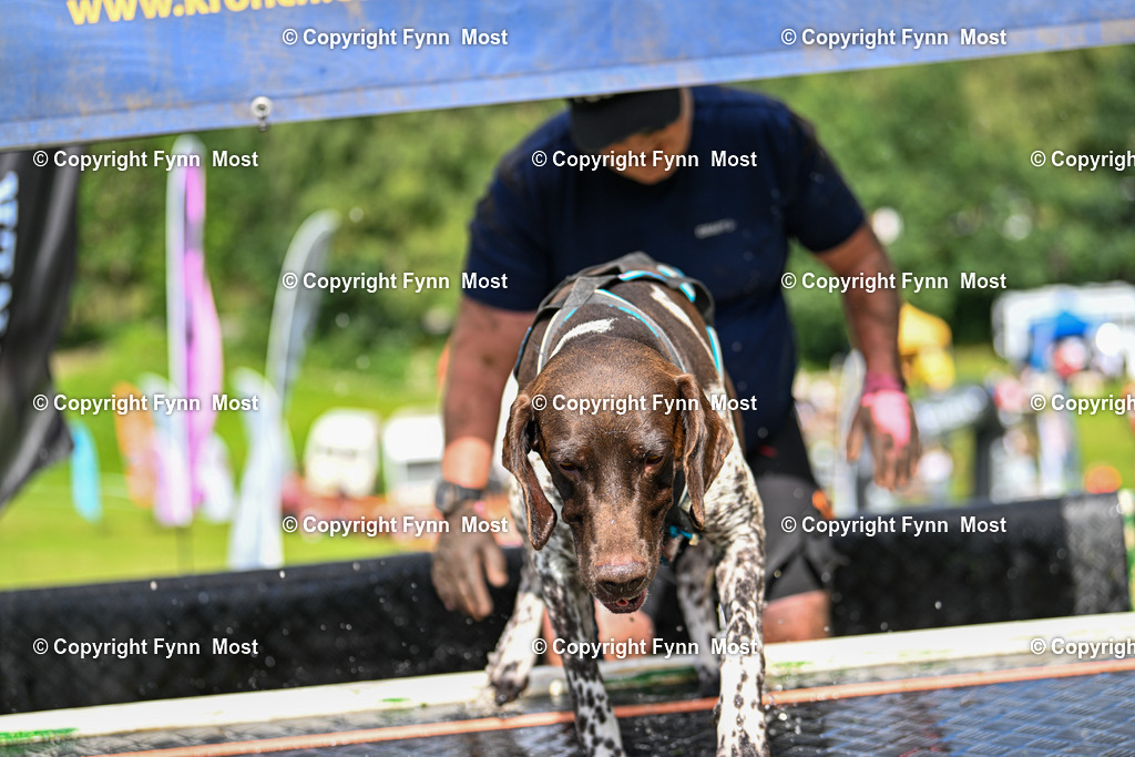 DSC_2231 | Hallo und herzlich Willkommen auf meiner Shop-Seite Fynn Most.

Ich wünsche Dir viel Spaß beim stöbern durch die Bilder, wenn Du Fragen hast oder Bilder vermisst, kannst du mir gerne eine Nachricht schreiben. - Realisiert mit Pictrs.com