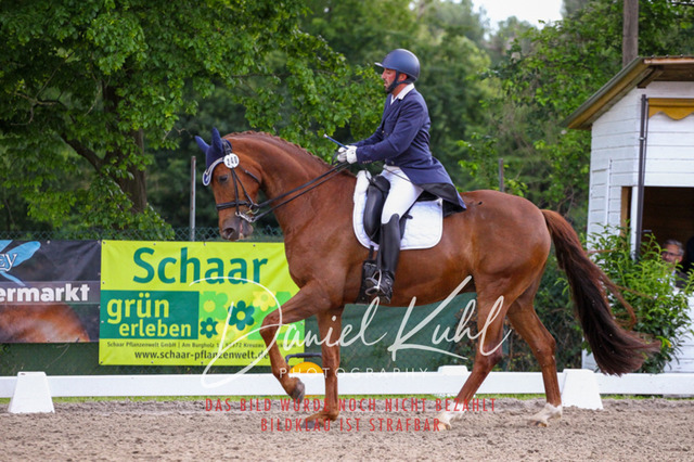 DKP41485 | Turnierfotos kaufen im Webshop von Daniel Kuhl Photography – entdecke professionelle Reitsportfotos aus Turnieren & Events. Hochwertige Turnierbilder online bestellen & sichern. Jetzt Fotos von Reitsportturnieren kaufen!