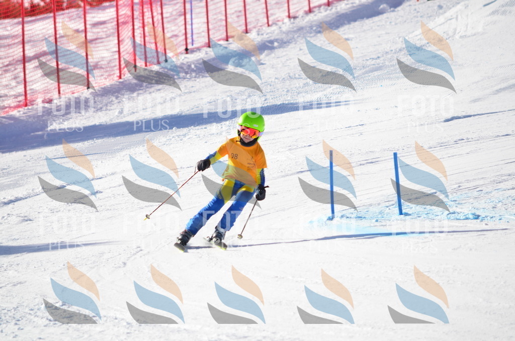 C6154 | holidayphoto