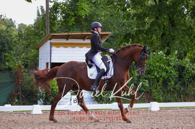 DKP41432 | Deine Turnierfotos vom Reitturnier online kaufen: Dressur, Springen & Siegerehrung. Professionelle Pferdefotografie aus dem Rheinland – als Download & Print.Alternative: Turnierfotograf für den Pferdesport: Finde deine Fotos von Dressur- und Springturnier