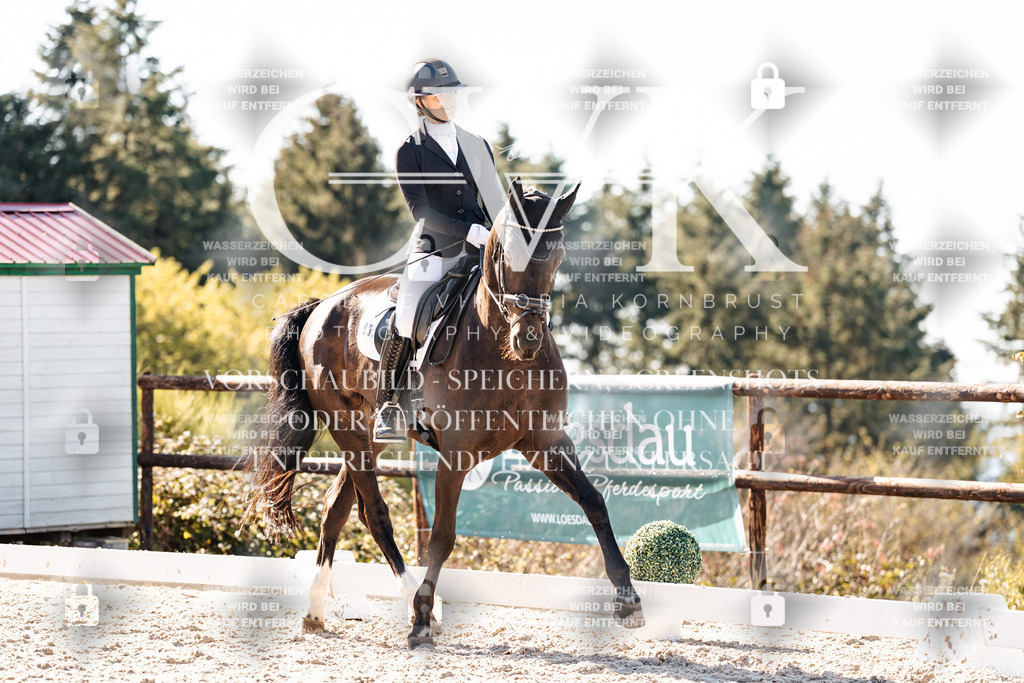 CK905780 | Turnierfotografie Pferdefotografie Trier Rheinland-Pfalz Pferdesport Reitsport Tierfotografie Sportfotografie Pferdevideo Pferdevideografie Equestrianvideography equestrianphotography  - Realisiert mit Pictrs.com
