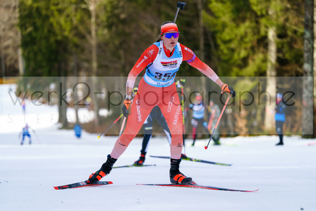FESA Alpencup / DP Notschrei | Deutschland Pokal Finale im Schwarzwald NORDIC-CENTER Notschrei am 7. - 8. Februar 2026
