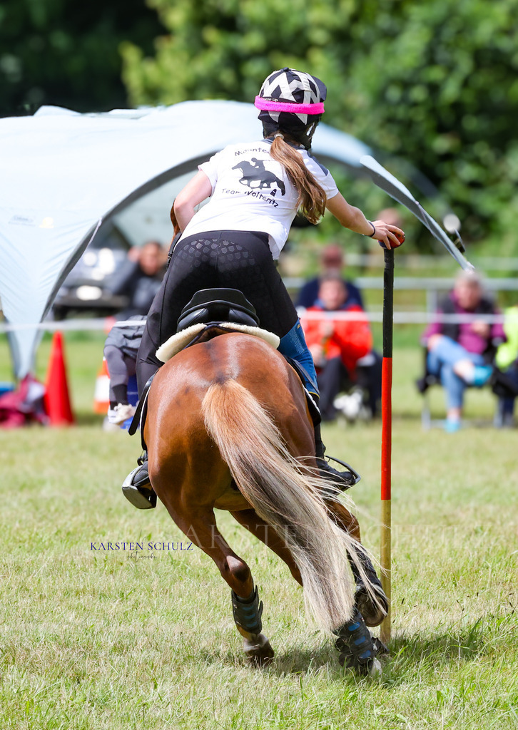 1B3A1076 | Reitsport Reiten