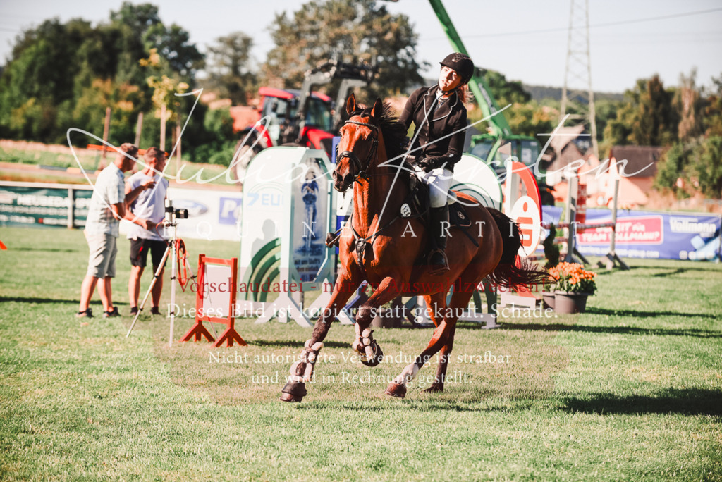 DSC_2230 | Pferde- und Turnierfotografie in Westsachsen. Pferdeportraits, Auftragszeichnungen und intuitive Kunst.