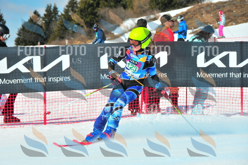 DSC_0986 | holidayphoto