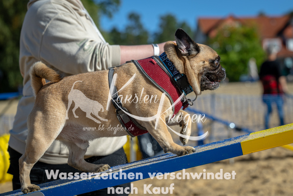 1115_ZZ90841 | kk-dogfotos