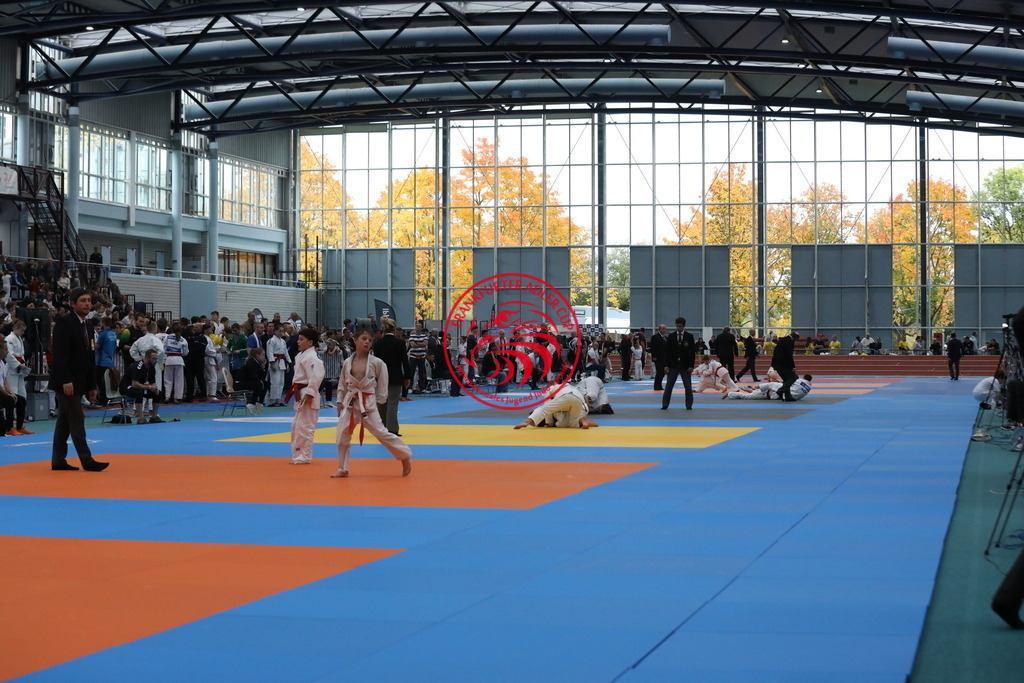 1J7A3294 | Fotos vom Adler Cup - Pictures from Adler Cup

Hier findet Ihr alle Eindrücke und großen Momente der Adler Cup Wochenenden. Here you will find all impressions and great moments of the Adler Cup weekends. - Realisiert mit Pictrs.com