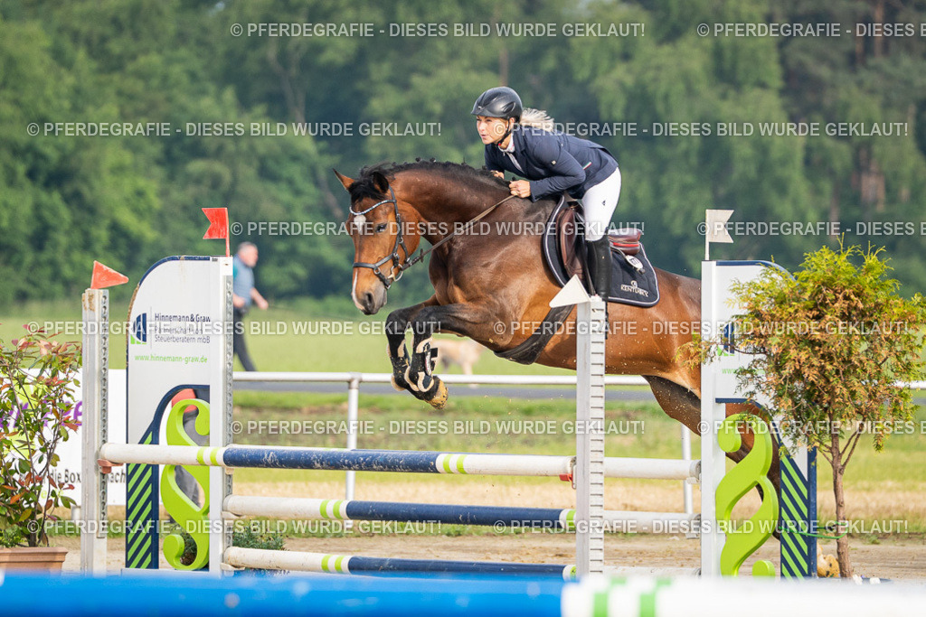 DSC08023 | Pferdegrafie