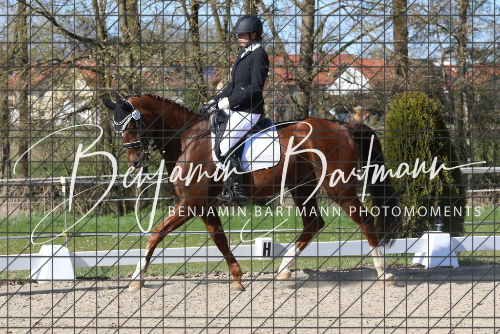 AZ2A5189 | Benjamin Bartmann Photomoments