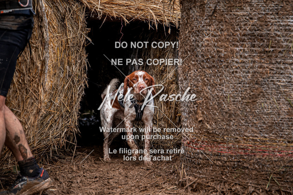 nelerasche_Hunsrück_So09-11_214 | nelerasche
