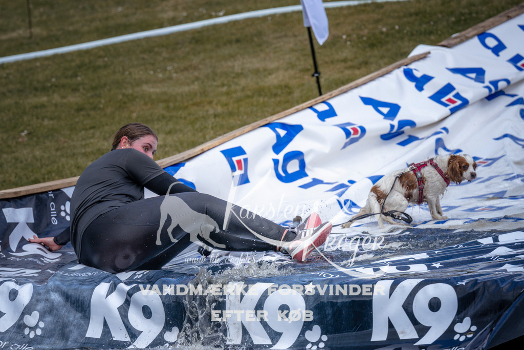 _ZZ916260915 | kk-dogfotos