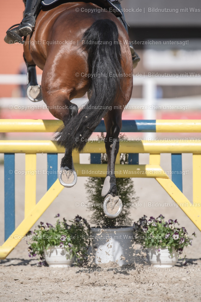 20240512_CCI2-L_Show-Jumping_0048 | Foto: Thomas Hartig