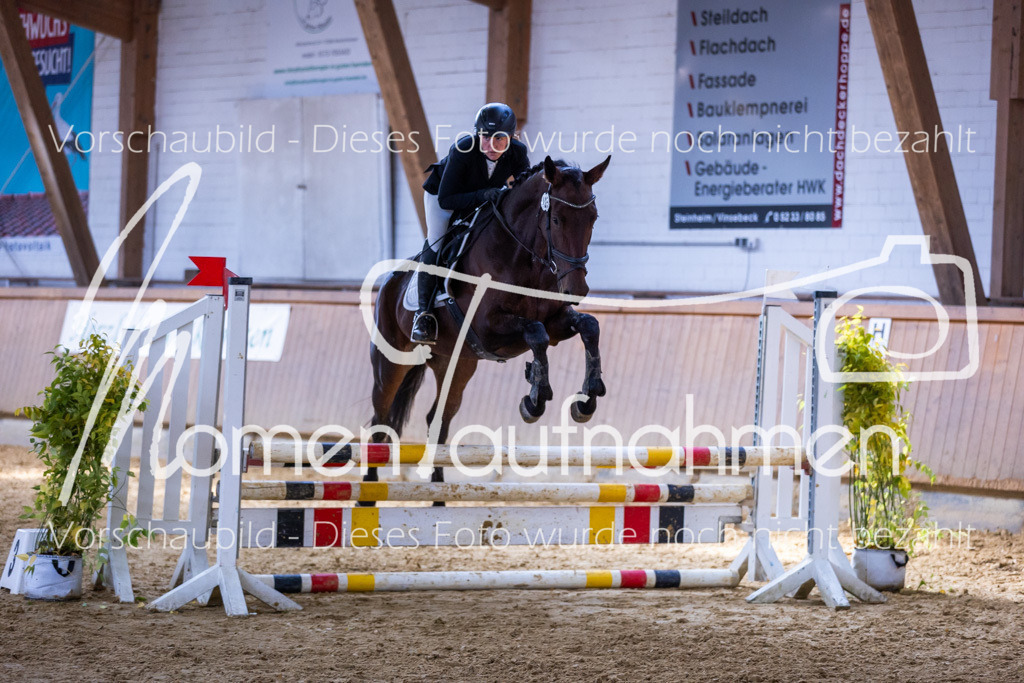 Sth-Gewöhnung-029 | MomenTaufnahmen Pferdesportfotos