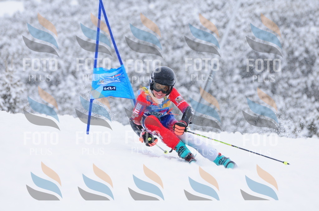 C4064 | holidayphoto