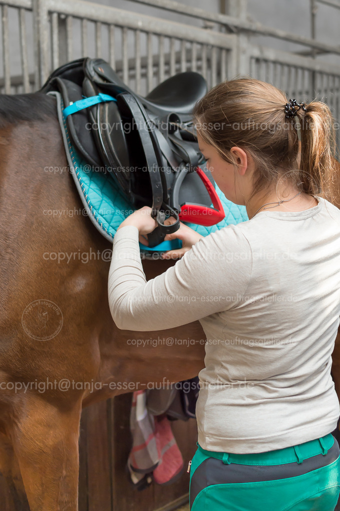 Woman saddles horse with leather saddle | Eine junge Frau steht im Pferdestall. Sie legt ihrem Hannoveraner Pferd den Sattel auf den Rücken. Aufgenommen in der Reitergasse auf einem Pferdehof.