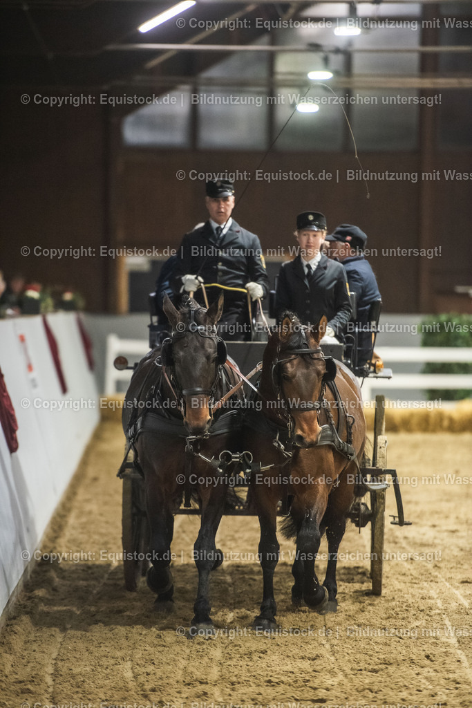 20240302_Hengstvorstellung_Marbach_TOMsPiC_0739 | equistock