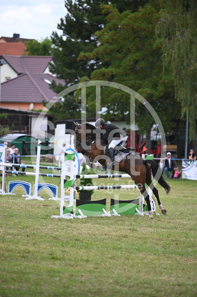 DSC_7212 | sattelsport - Realisiert mit Pictrs.com