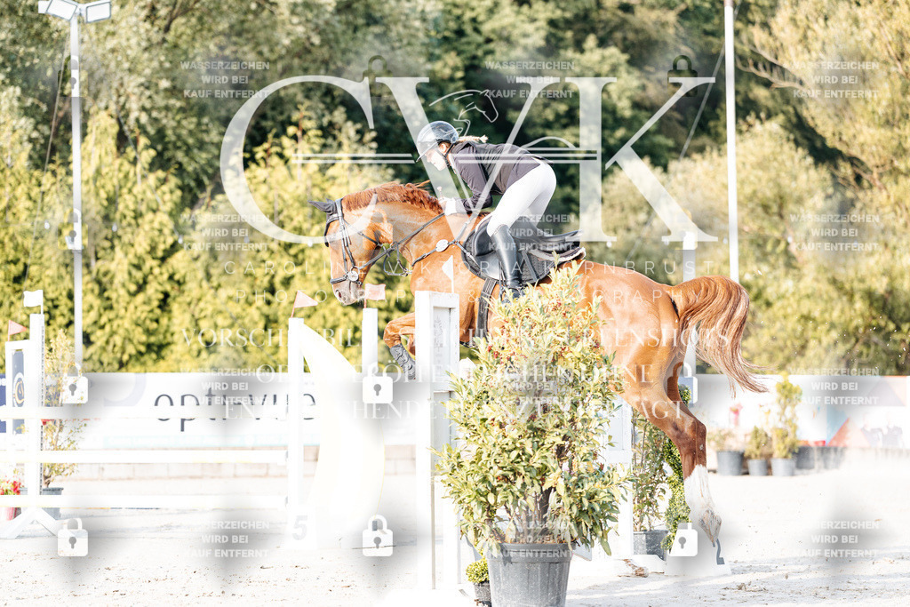 CK903286 | Turnierfotografie Pferdefotografie Trier Rheinland-Pfalz Pferdesport Reitsport Tierfotografie Sportfotografie Pferdevideo Pferdevideografie Equestrianvideography equestrianphotography  - Realisiert mit Pictrs.com