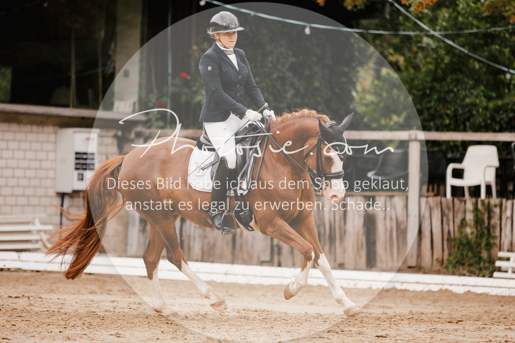 3I6A7814 | Stimmungsvolle Portraits und Reitsportfotografie im Ruhrgebiet und im Münsterland.

Pferdefotografie, Hundefotografie, Tierfotografie, Reportagen, Portraits von Tier und Mensch, Turnierfotografie in Bochum, Recklinghausen, Marl, Haltern am See, Dülmen.. - Realisiert mit Pictrs.com