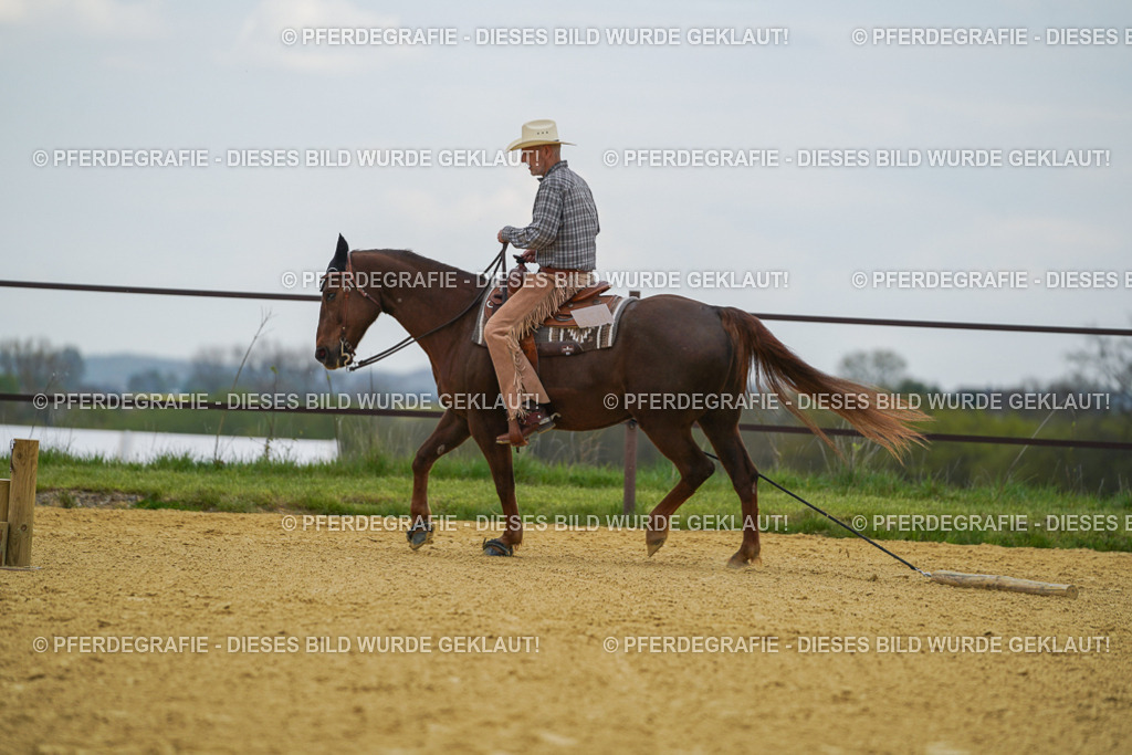 DSC06836 | Pferdegrafie