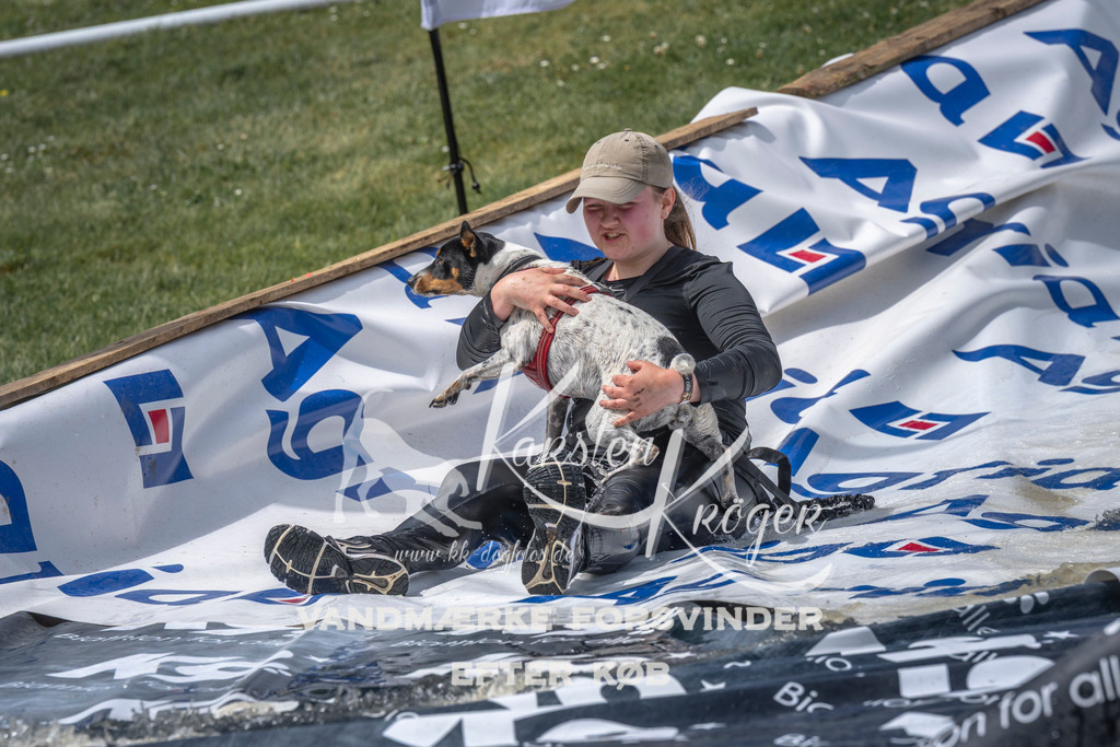 1256_ZZ99441 | kk-dogfotos