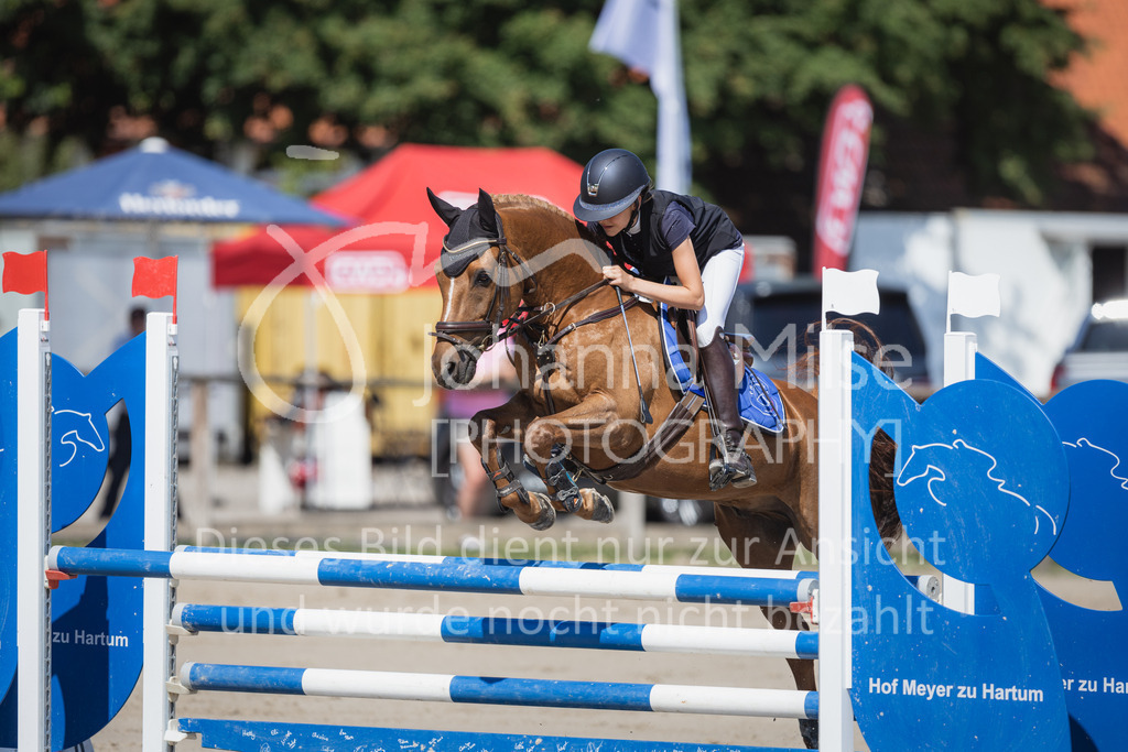 230625_PfSpTa_A2-Stil-230 | Deine schönsten Turniermomente als professionelle Fotos! Entdecke hochwertige Pferdesport-Fotografie im Online-Shop. Jetzt Fotos finden & bestellen!