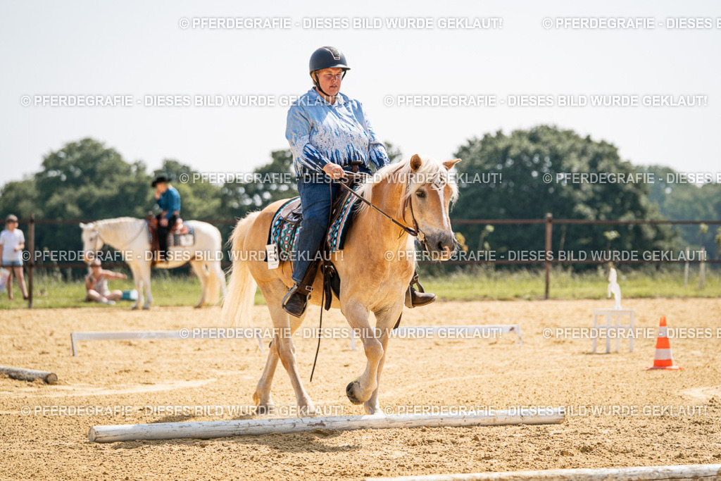 DSC09802 | Pferdegrafie