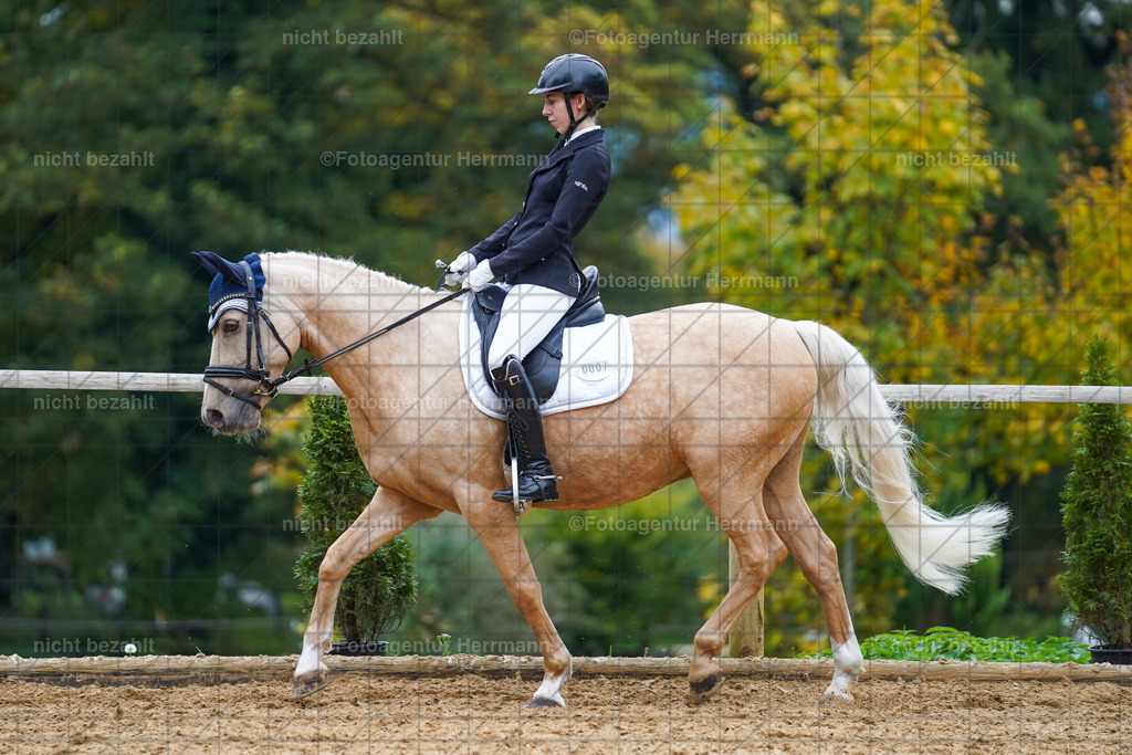 20221008-FAH01570 | Diessen am Ammersee, 2022, Dressur- und Springturnier, Reitsportbilder, Turnierfotografen Bayern, Pferdefotografen, Fotoagentur Herrmann, Turnierbilder