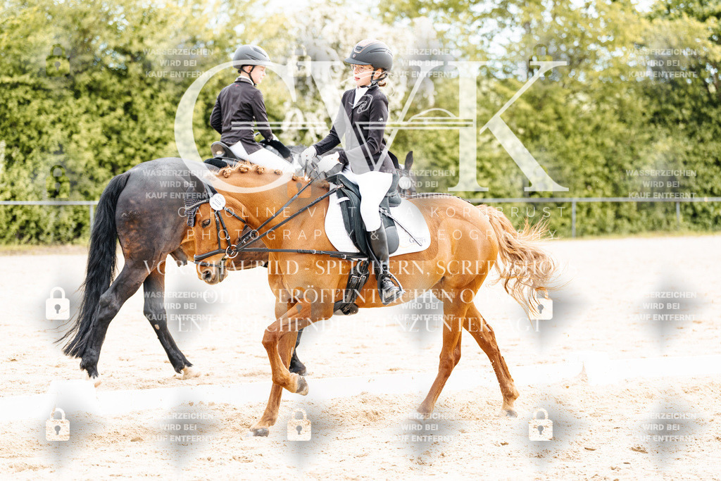 CK904645 | Turnierfotografie Pferdefotografie Trier Rheinland-Pfalz Pferdesport Reitsport Tierfotografie Sportfotografie Pferdevideo Pferdevideografie Equestrianvideography equestrianphotography  - Realisiert mit Pictrs.com