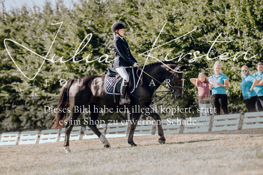 DSC_7194 | Pferde- und Turnierfotografie in Westsachsen. Pferdeportraits, Auftragszeichnungen und intuitive Kunst.
