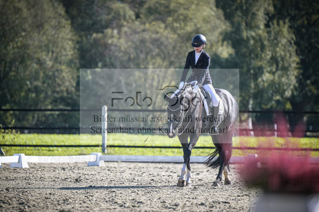DOS_2547 | Entdecke hochwertige Reitturnierfotos von Foto Oger. Professionell, emotional und authentisch – jetzt Lieblingsmomente im Shop bestellen.Deutschlandweite Turnierfotografie. - Realisiert mit Pictrs.com