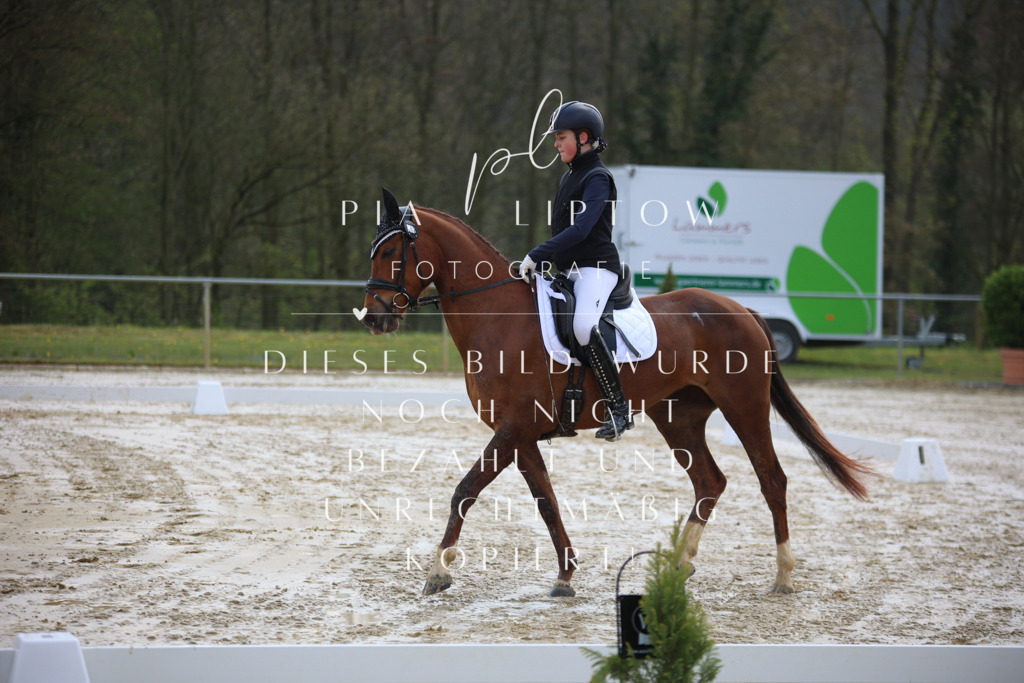 IMGT2372 | pl-fotografie