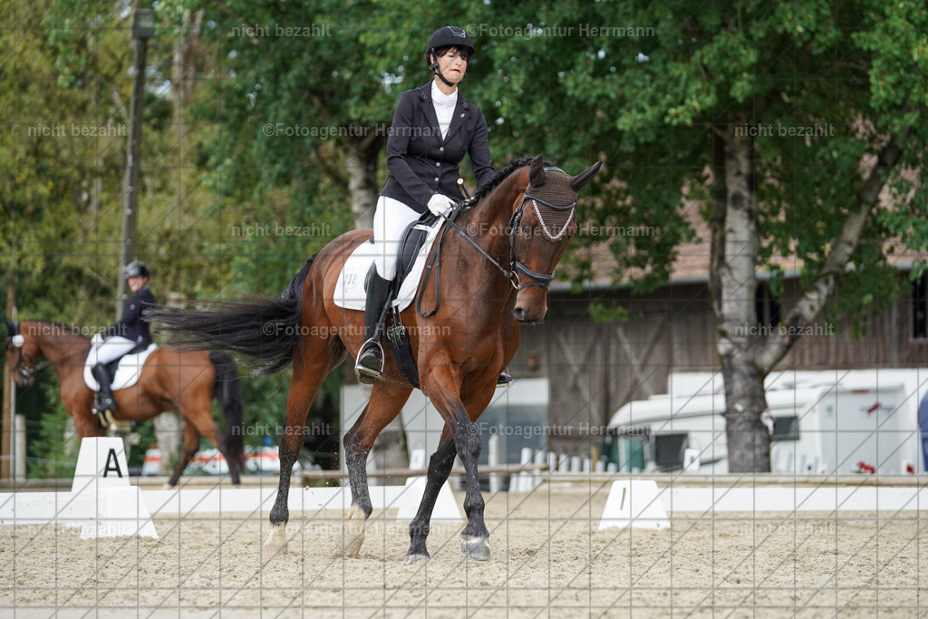 20230826-FAH05144 | Forstinning, 2023, Dressurturnier, Turniersportbilder, Turnierfotografen Bayern, Fotoagentur Herrmann, Reitsportfotografie, Turnierbilder