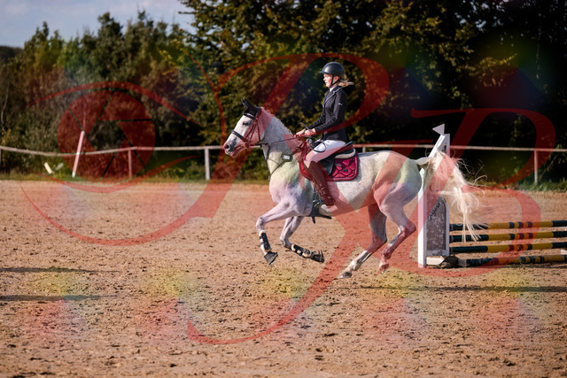 2026_10_03_Siefer-Hof_155126_Z81_70201086 | Professionelle Reitsport-, Turnier- und Eventfotografie von Robert Broda. Galerien mit ausgewählten und bearbeiteten Bildern direkt online ansehen und bestellen.