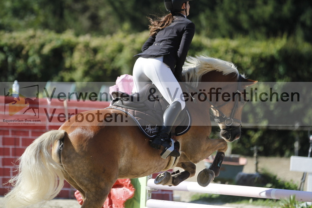_MG_4295 | equestrian-live-com