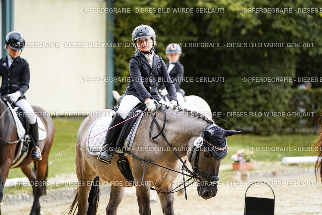 DSC05661 | Pferdegrafie