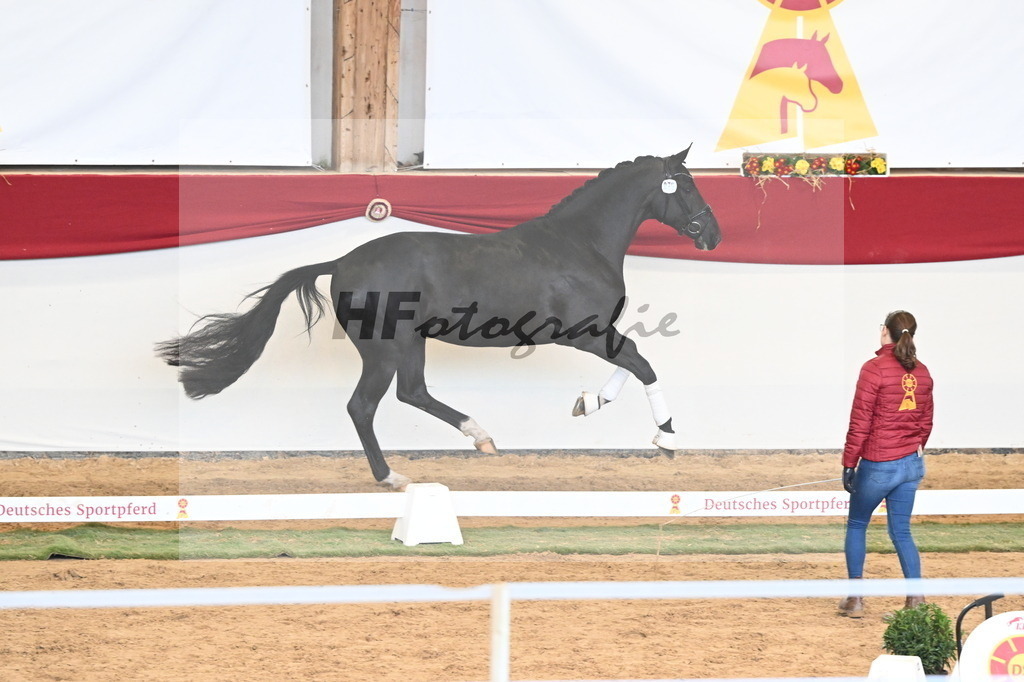 Kat.-Nr. 79 v. Toto Jr._Pfefferle_3260952 | hf-fotografie - Realizzato con Pictrs.com