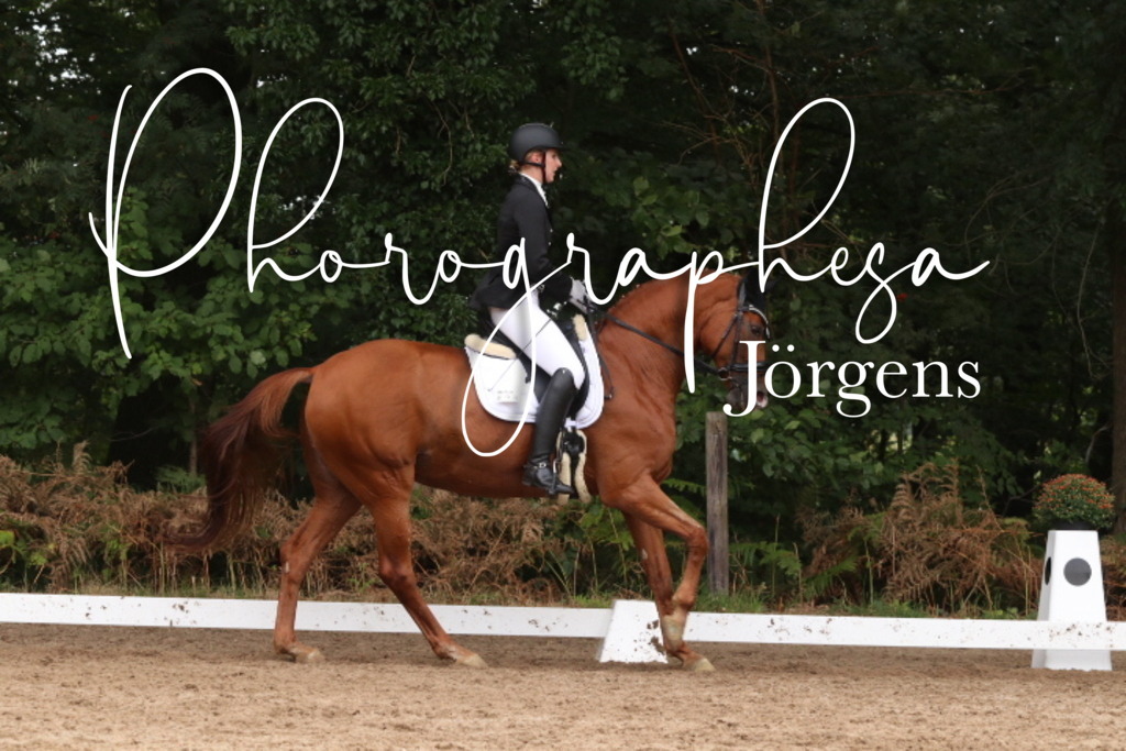 IMG_0040 | photographesa-joergens - Realisiert mit Pictrs.com