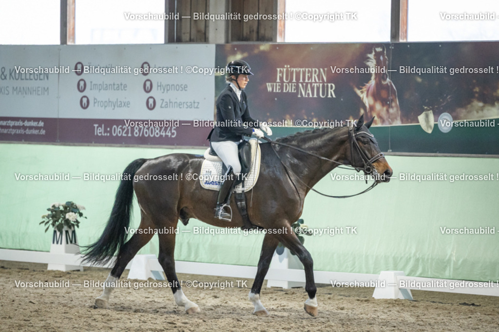 _D5A3651 | Emotionale Pferde- & People-Fotografie rund um Heidelberg, Leimen & Umgebung. Natürliche Fotos von Pferd, Mensch & Familie. Jetzt Termin sichern!