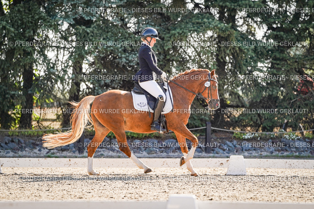 DSC00032 | Pferdegrafie