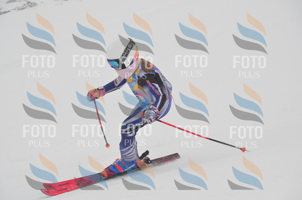 C1218 | holidayphoto