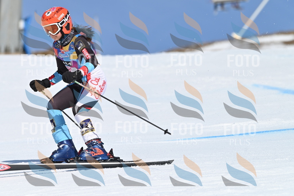 BGV_9283 | holidayphoto