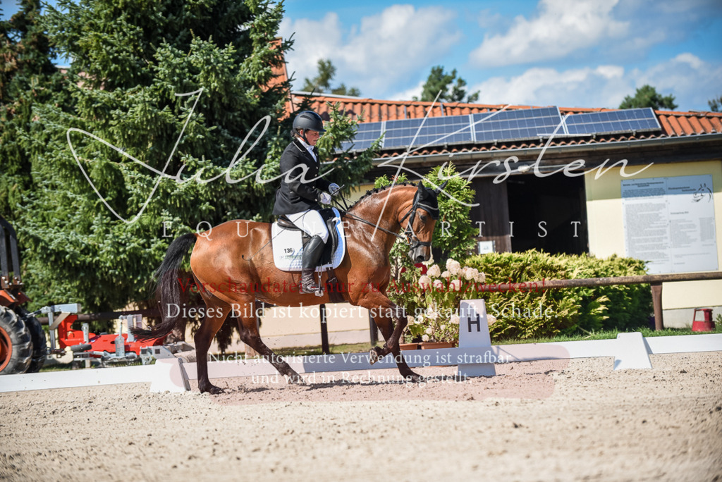 DSC_9642 | Pferde- und Turnierfotografie in Westsachsen. Pferdeportraits, Auftragszeichnungen und intuitive Kunst.