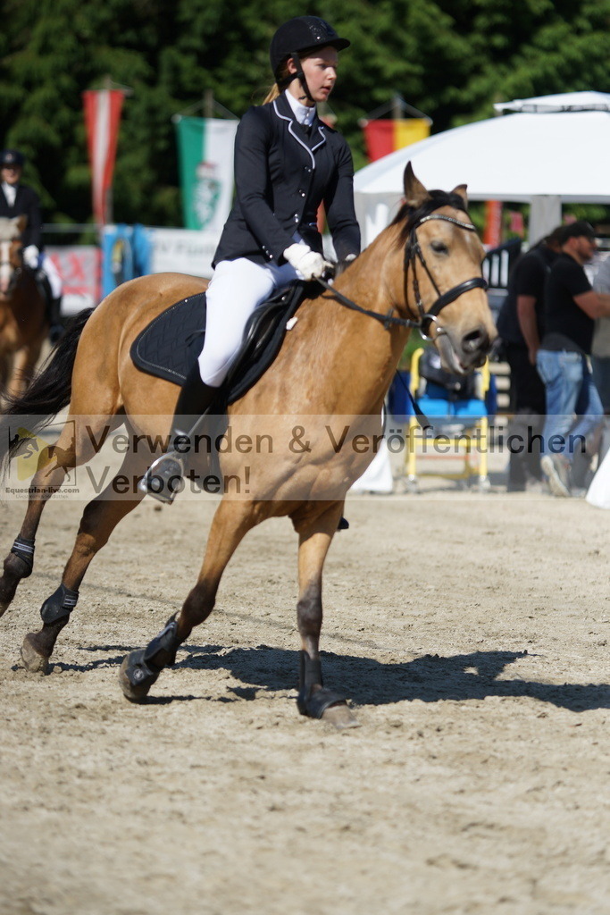 DSC06150 | equestrian-live-com