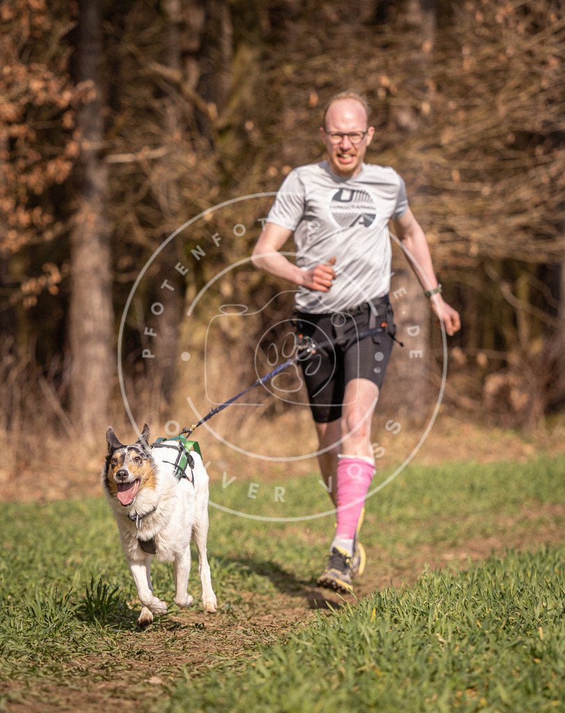 DV3A6221 | Hundefotografie, Tierfotograf, Pfotenfotografie, Fotoshooting Hund, Hunde Portrait, Hundesport, Hundeportraits, Heideshooting, Hunde, Sportfotograf, Hundefotograf, Turnierhundsport, THS,  - Realisiert mit Pictrs.com