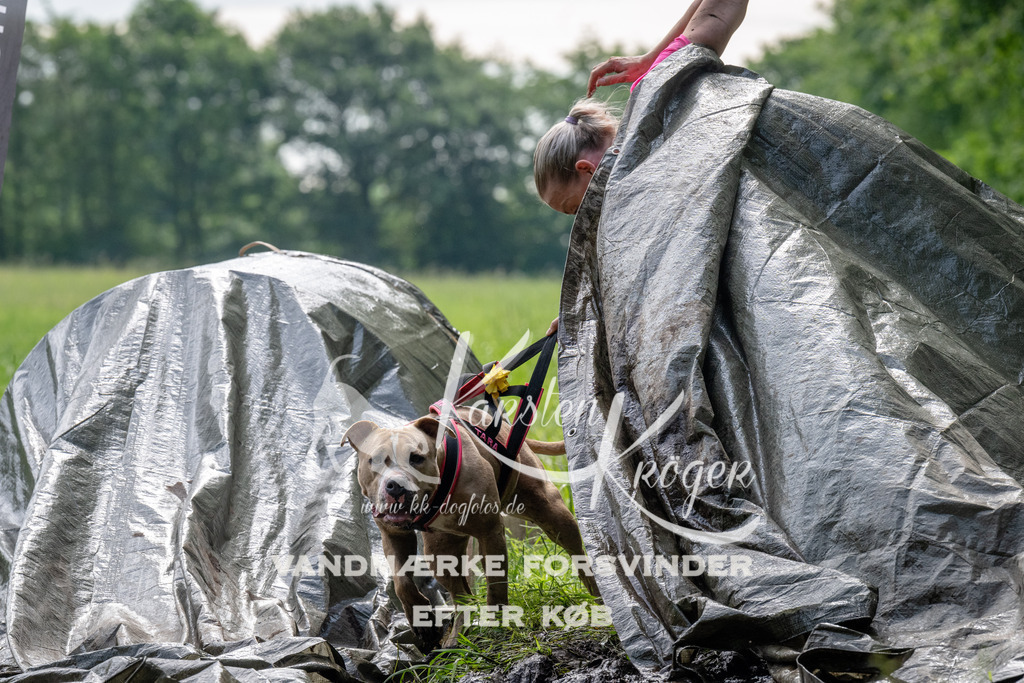 0924_ZZ90804 | kk-dogfotos