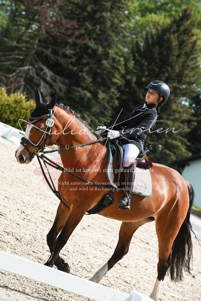 20230518_JK-Röhrsdorf-11-0781 | Pferde- und Turnierfotografie in Westsachsen. Pferdeportraits, Auftragszeichnungen und intuitive Kunst.