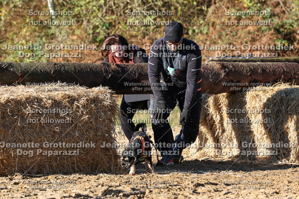 Dog Paparazzi - Strongdog 10-25-1440 | Dog Paparazzi Jeanette Grottendiek Fotografie & Videografie - Realisiert mit Pictrs.com