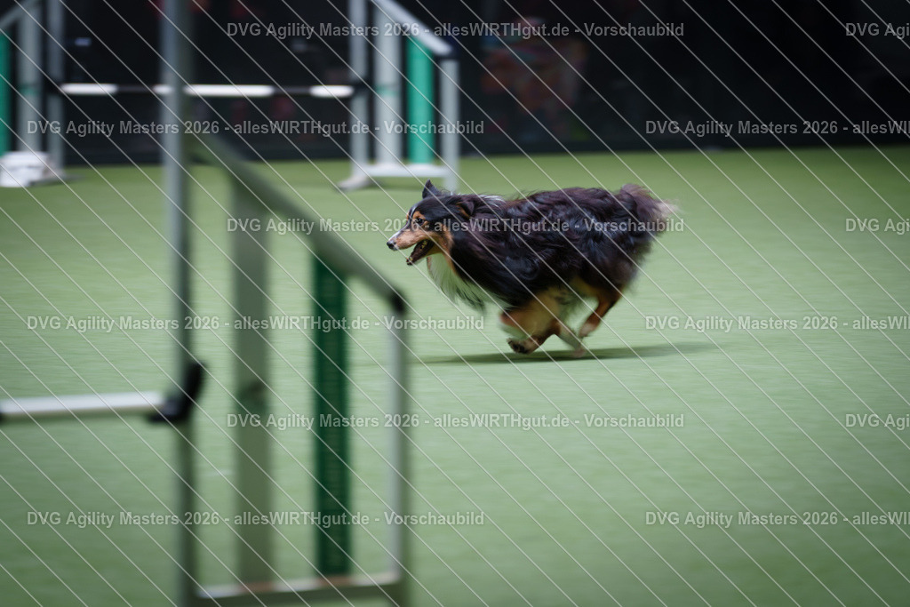 allesWIRTHgut_Tierfotografie-DVG_Agility_Masters_2026-14_46-7R505471 | Professionelle Tierfotografie in Mönchengladbach von Daniel Wirth (allesWIRTHgut). Liebevolle & natürliche Bilder von Hunden & Katzen für unvergessliche Erinnerungen.